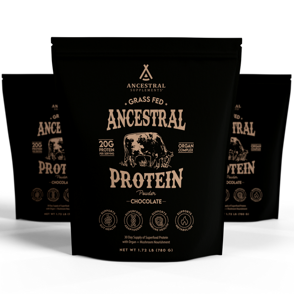 Ancestral Protein Powder 3-Pack